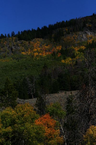 Mountain Side. Photo by Pam McCulloch, Pinedale Online.