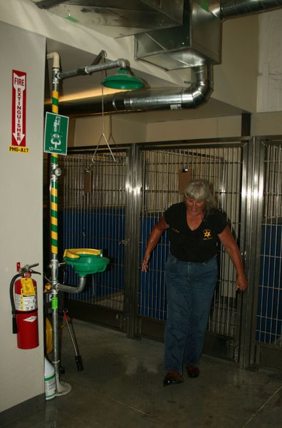 Emergency Shower. Photo by Dawn Ballou, Pinedale Online.