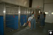 Dog Kennel. Photo by Dawn Ballou, Pinedale Online.