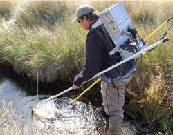 Fish Rescue. Photo by Kaitlyn McAvoy, Pinedale Roundup..