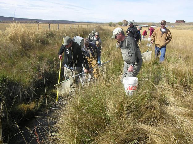 Looking for fish. Photo by Bob Rule, KPIN 101.1 FM Radio.