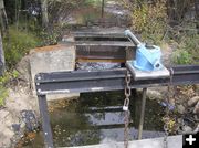 Headgate. Photo by So, once the fish are shocked and caught, where do they go? They are counted, and then tossed into Pine Creek..