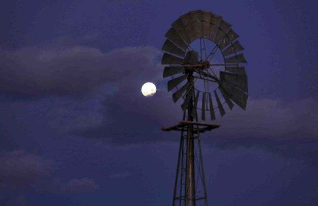 Windmill. Photo by Dave Bell.