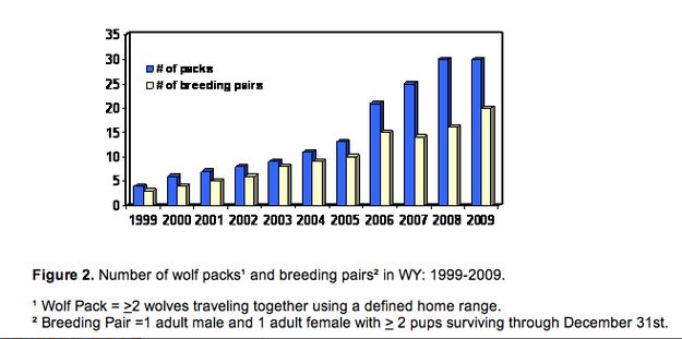 Figure 2. Photo by Pinedale Online.