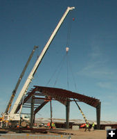 Cranes. Photo by Dawn Ballou, Pinedale Online.