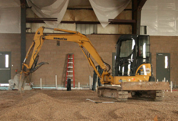 Digging. Photo by Dawn Ballou, Pinedale Online.