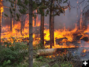 Wildfire. Photo by Sublette Fire.