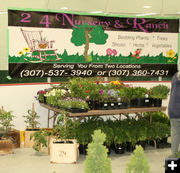 Nursery Plants. Photo by Dawn Ballou, Pinedale Online.