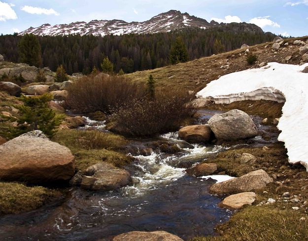 Spring has barely arrived. Photo by Dave Ball.