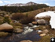 Spring has barely arrived. Photo by Dave Ball.