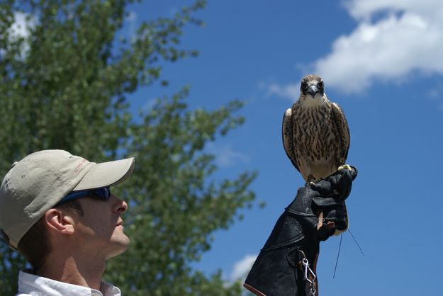 Flight check. Photo by Cat Urbigkit, Pinedale Online.