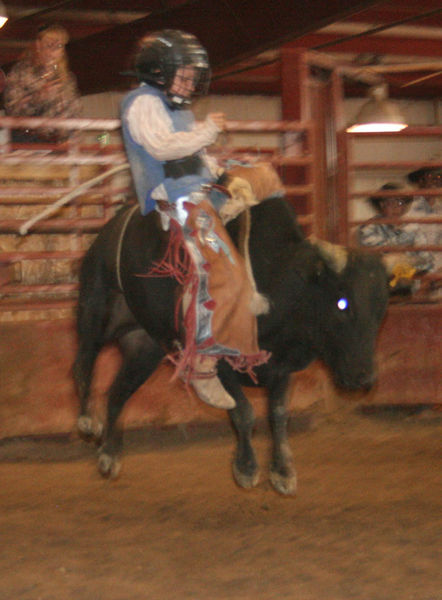 Donny Proffitt. Photo by Dawn Ballou, Pinedale Online.