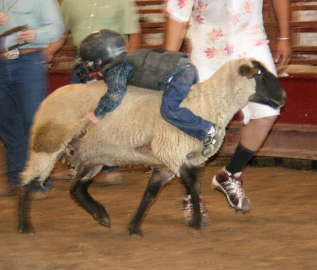 Ean Parker. Photo by Dawn Ballou, Pinedale Online.