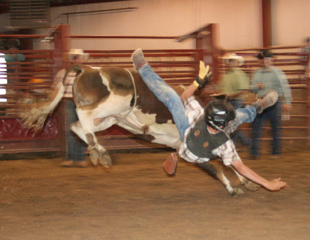 Parker Jones. Photo by Dawn Ballou, Pinedale Online.