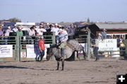 Bryon Lozier. Photo by Pam McCulloch, Pinedale Online.