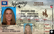 Adult License. Photo by Wyoming Department of Transportation.