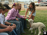 Feeding the lamb. Photo by Dawn Ballou, Pinedale Online.