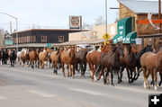 Horse Drive. Photo by Debbee Miller.