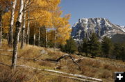 Flattop Fall. Photo by Fred Pflughoft.