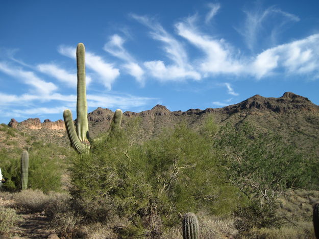 Winter in Arizona. Photo by Hank Ruland.