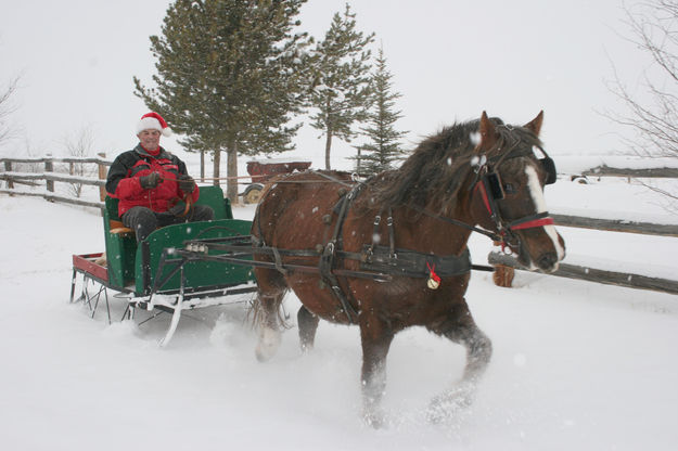 Having fun!. Photo by Dawn Ballou, Pinedale Online.