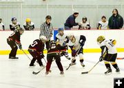 Face off. Photo by Natalie Bacon.