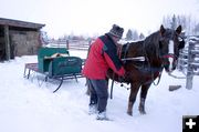 Hitching up Maybelle. Photo by Dawn Ballou, Pinedale Online.