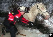 Horse Rescue. Photo by Tip Top Search & Rescue.