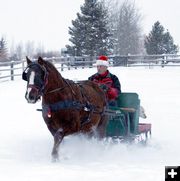 Through the snow. Photo by Dawn Ballou, Pinedale Online.