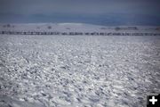 Wind Scoured Pasture. Photo by Pinedale Online.