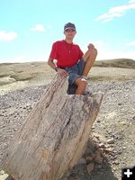 Petrified Wood. Photo by Family on Bikes.