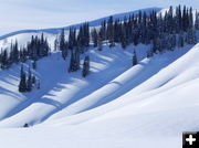 Snowmobile Heaven. Photo by Scott Almdale.