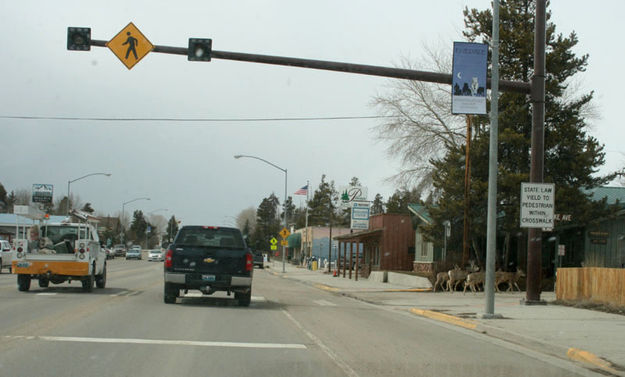 All Clear. Photo by Dawn Ballou, Pinedale Online.