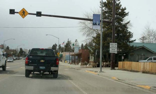 Traffic moves again. Photo by Dawn Ballou, Pinedale Online.