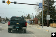 Deer Crossing. Photo by Dawn Ballou, Pinedale Online.