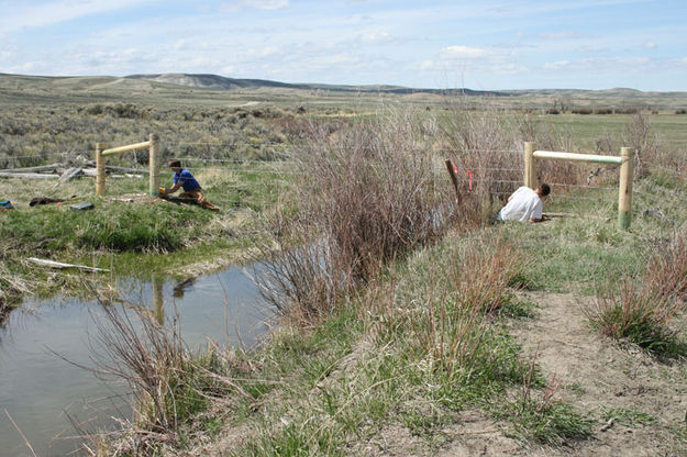 Fence over ditch. Photo by Dawn Ballou, Pinedale Online.