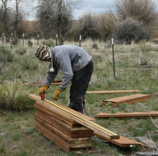 Measuring. Photo by Dawn Ballou, Pinedale Online.