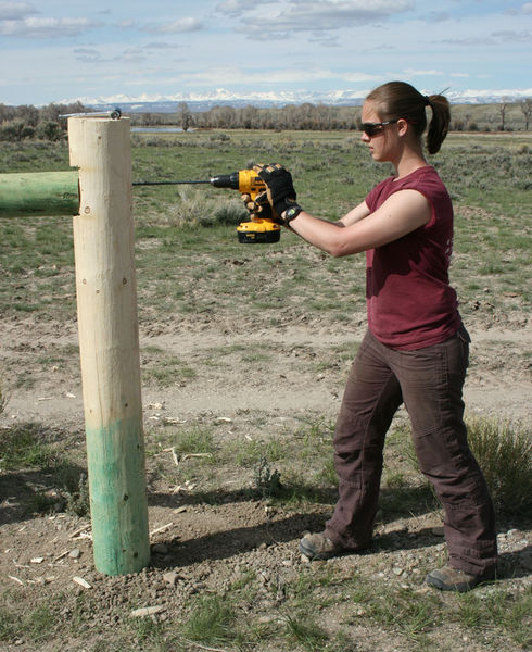 Nancy Davidson. Photo by Dawn Ballou, Pinedale Online.