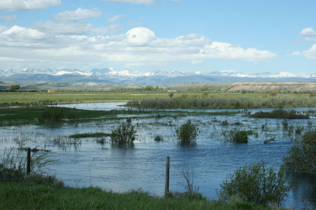 Horse Creek near Daniel. Photo by Dawn Ballou, Pinedale Online.