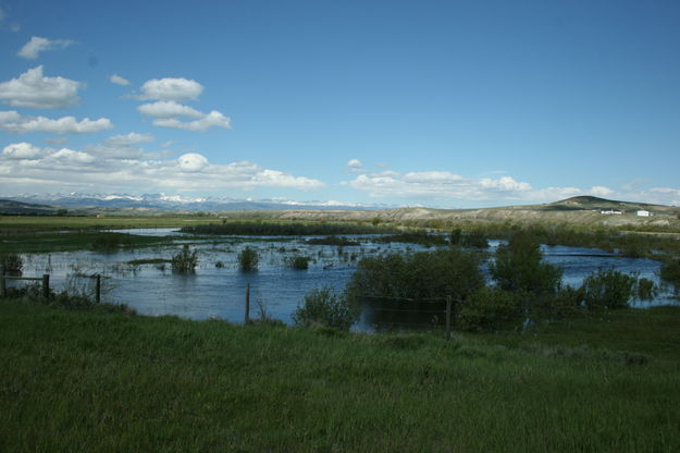 Horse Creek. Photo by Dawn Ballou, Pinedale Online.