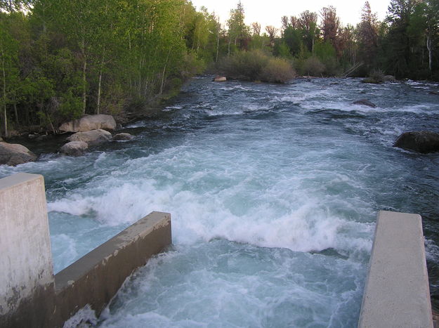 Pine Creek high flow. Photo by David Rule.