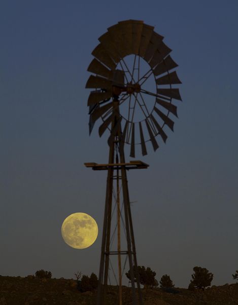 Rising Moon. Photo by Dave Bell.