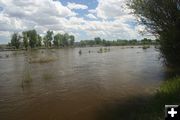 New Fork River. Photo by Clint Gilchrist, Pinedale Online!.