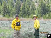 Sage and Trees. Photo by T.J. Hunt.