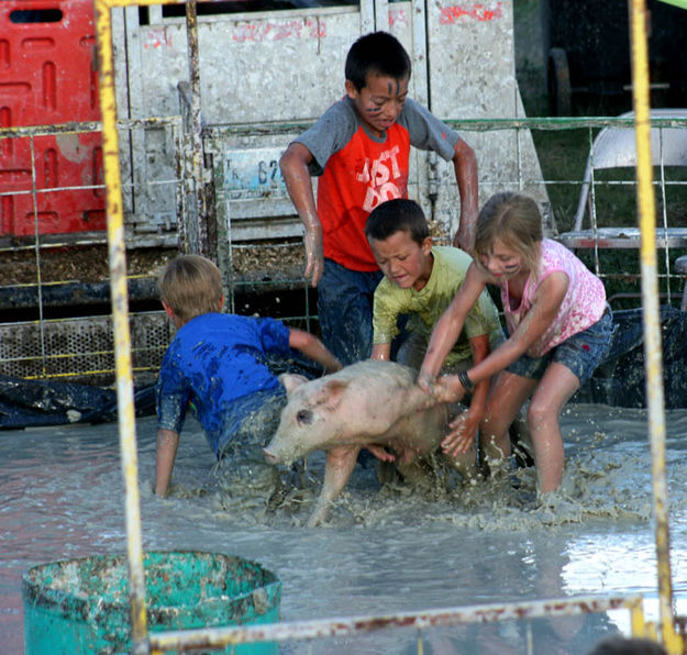 Bacon Bits. Photo by Dawn Ballou, Pinedale Online.