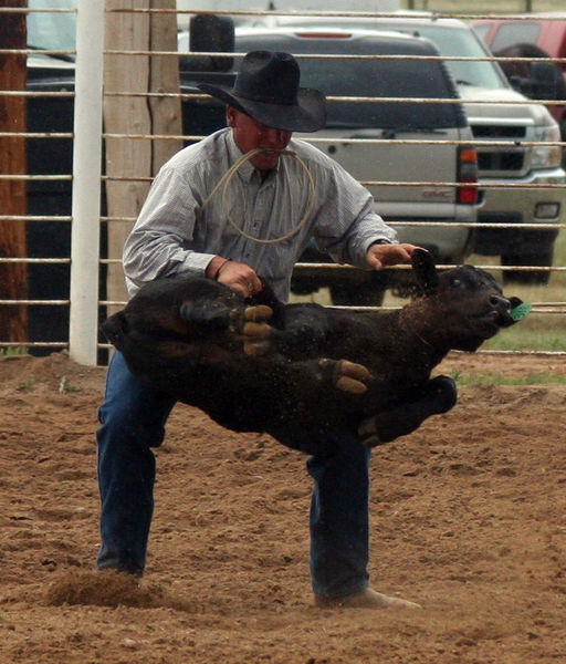 Calf Roping. Photo by Clint Gilchrist, Pinedale Online.