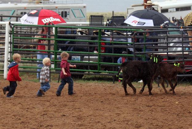 Calf Scramble. Photo by Clint Gilchrist, Pinedale Online.