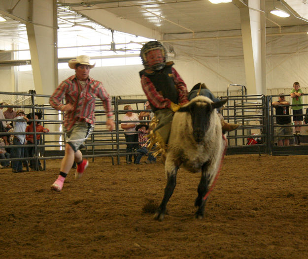 Sheep Ride. Photo by Dawn Ballou, Pinedale Online.