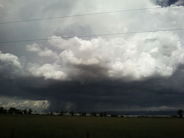 Small funnel. Photo by Kathy Sandmeier.