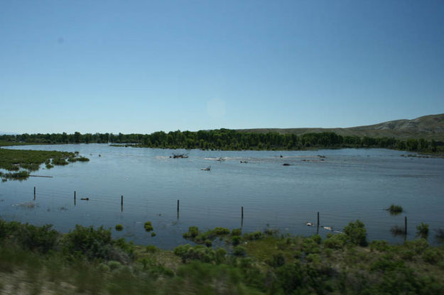 New Fork River - July 2nd. Photo by Dawn Ballou, Pinedale Online.